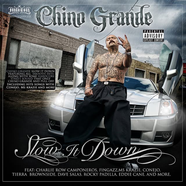 The Struggle cover art