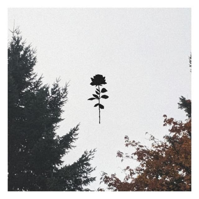 Lovesick cover art