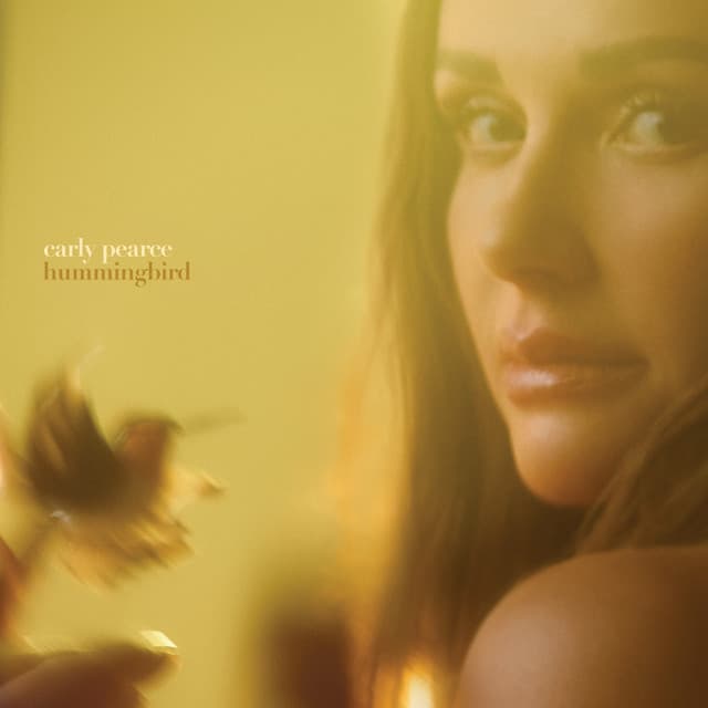 hummingbird cover art