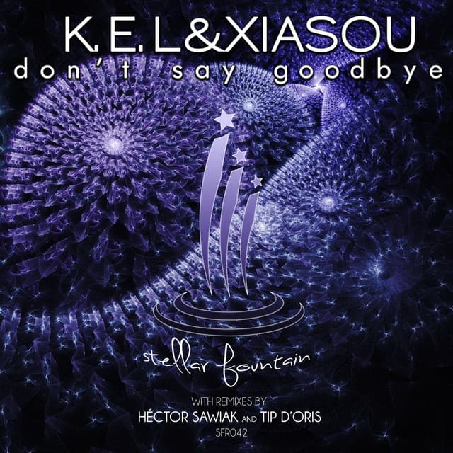 Don't Say Goodbye - Tip D'Oris Tech Mix cover art
