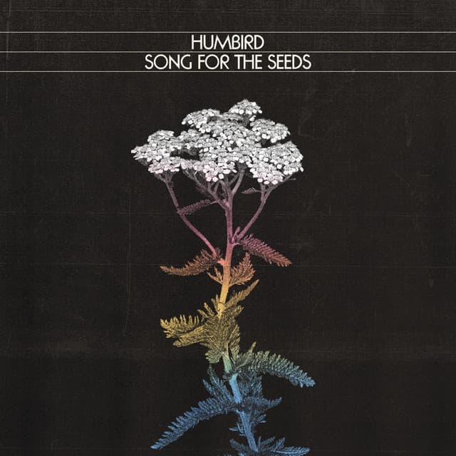 Song for the Seeds cover art