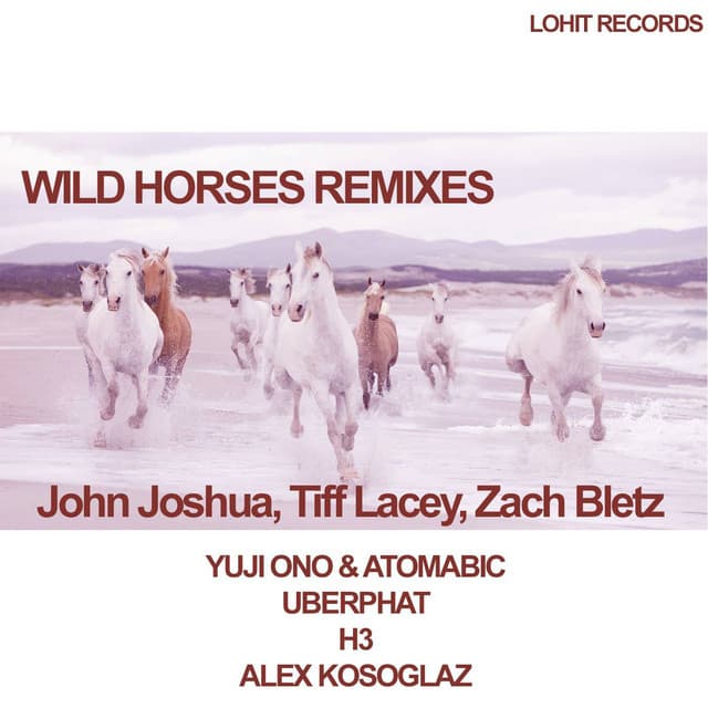 Wild Horses - H3 Remix cover art