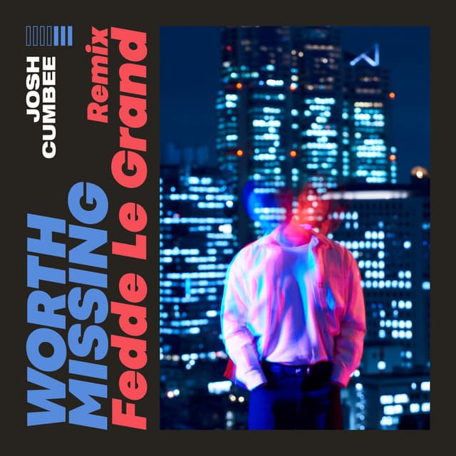 Worth Missing - Fedde Le Grand Remix cover art