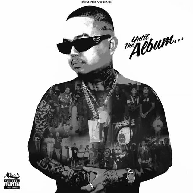 UNTIL THE ALBUM... cover art