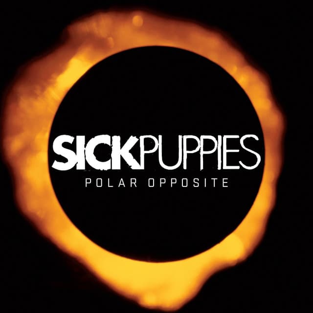Polar Opposite cover art