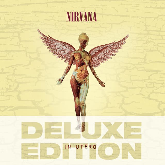 Heart-Shaped Box cover art