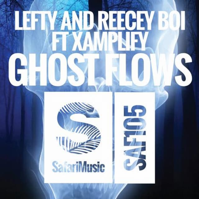 Ghost Flows - Matt Watkins Remix cover art