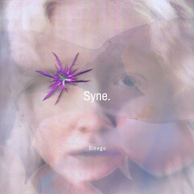 Syne cover art