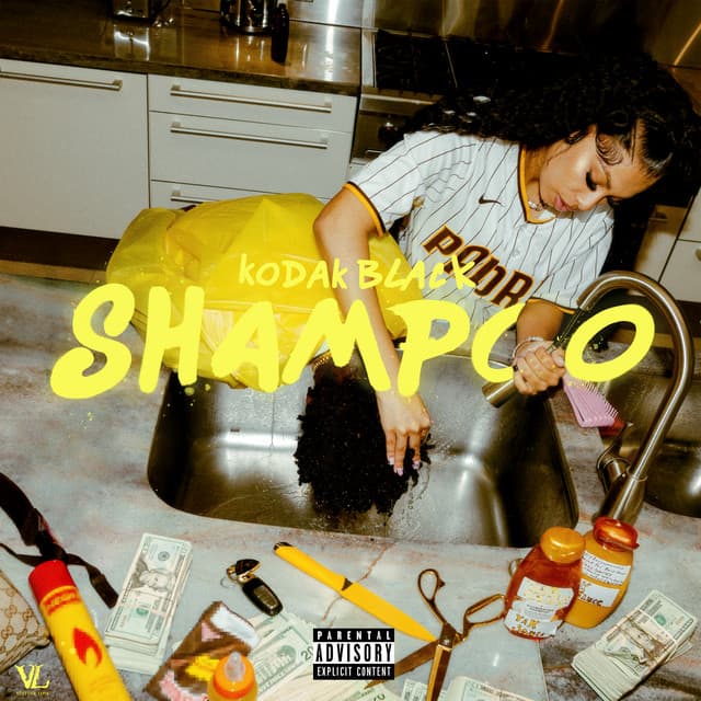 Shampoo cover art