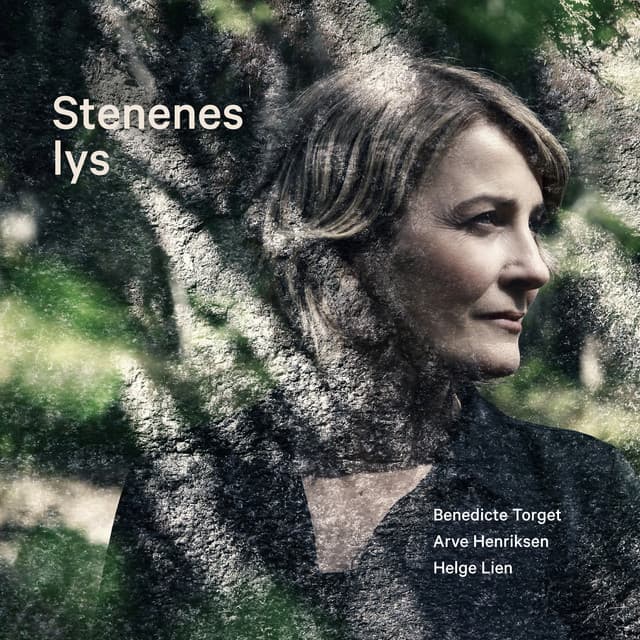 Stenenes lys cover art