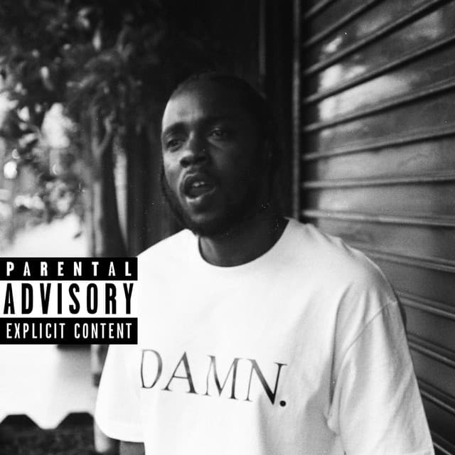 DAMN. COLLECTORS EDITION. cover art