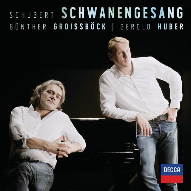 Schwanengesang, D. 957: 4. Ständchen cover art