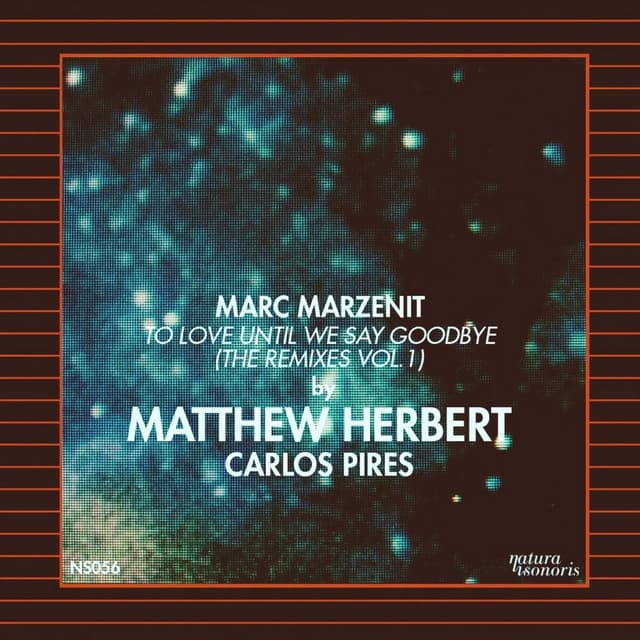 To Love Until We Say Goodbye - Matthew Herbert Remix cover art