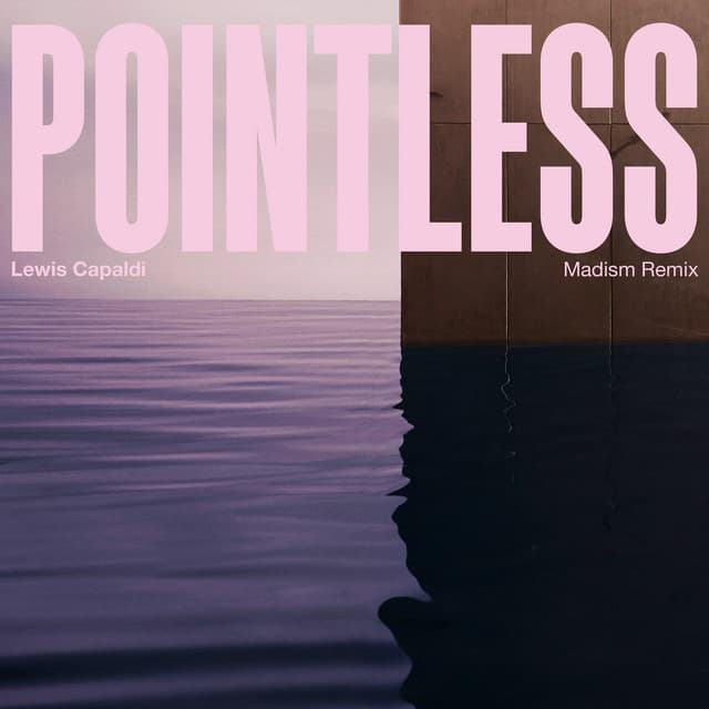 Pointless - Madism Remix cover art
