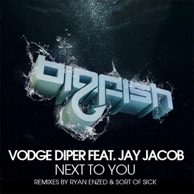 Next To You - Sort Of Sick Remix cover art