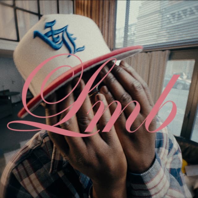 LMB cover art