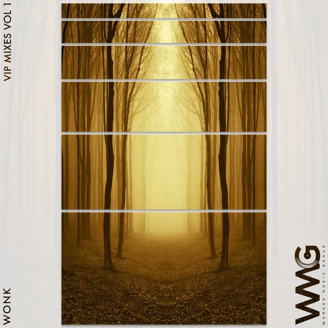 Golum - Dreamer VIP Remix cover art