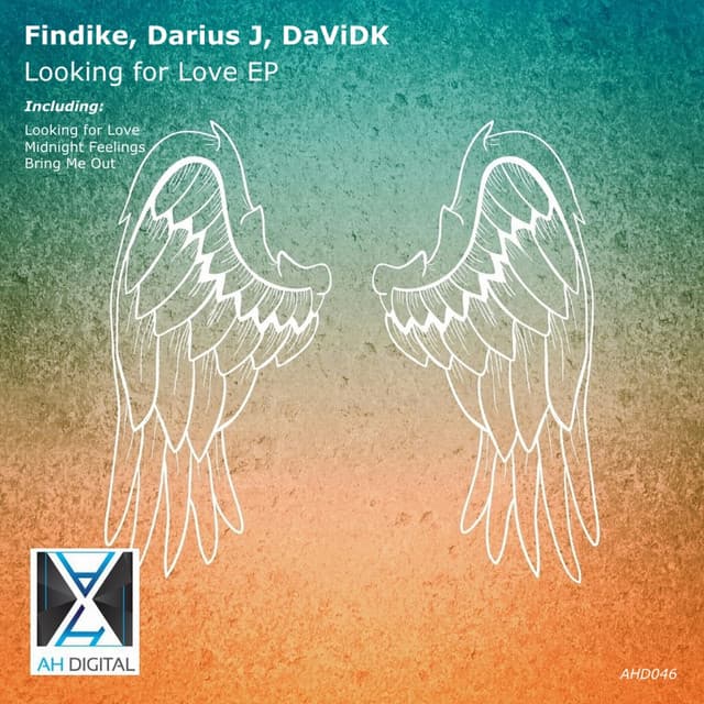 Looking for Love - Original Mix cover art