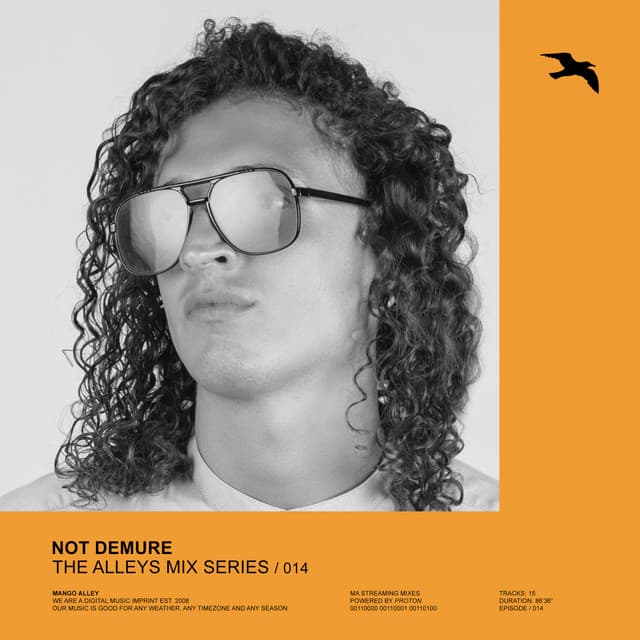 THE ALLEYS MIX SERIES 014 (DJ Mix) cover art