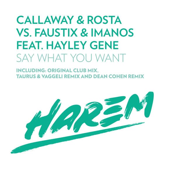 Say What You Want - Taurus & Vaggeli Remix cover art