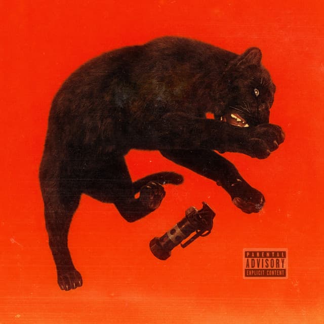 20/20 cover art
