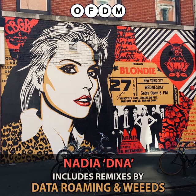 DNA - Data Roaming Remix cover art