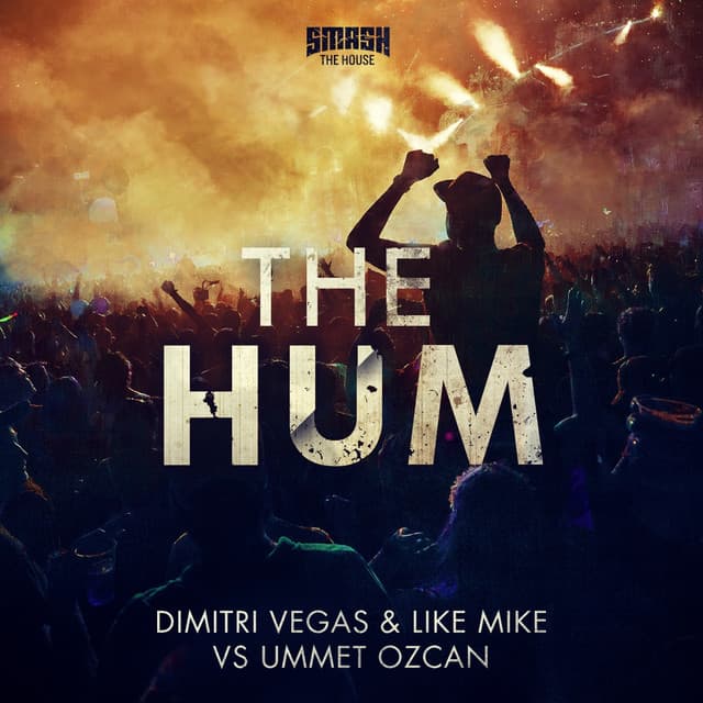 The Hum - Lost Frequencies Short Remix cover art