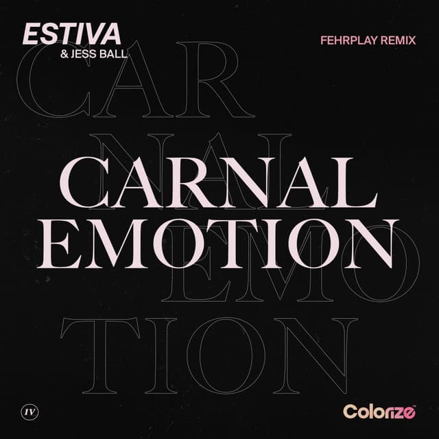 Carnal Emotion - Fehrplay Remix cover art