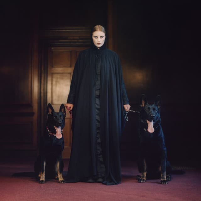 Good Boy - Radio Edit cover art
