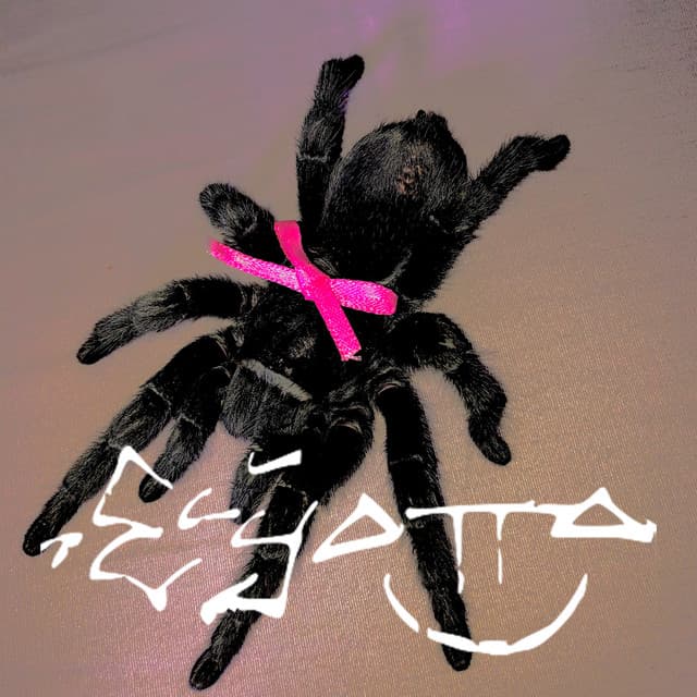 THE COPS (feat. Tokyo Ghetto Pussy) cover art