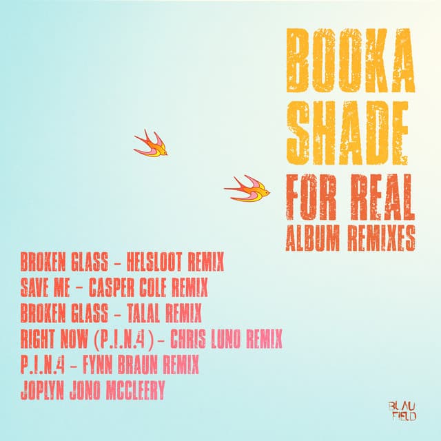 For Real Album Remixes cover art