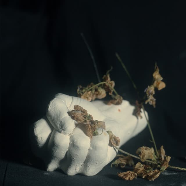 Weak and Predatory cover art