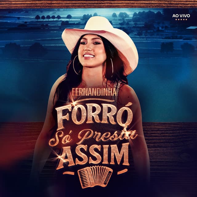 Não Me Perdoei - Ao Vivo cover art