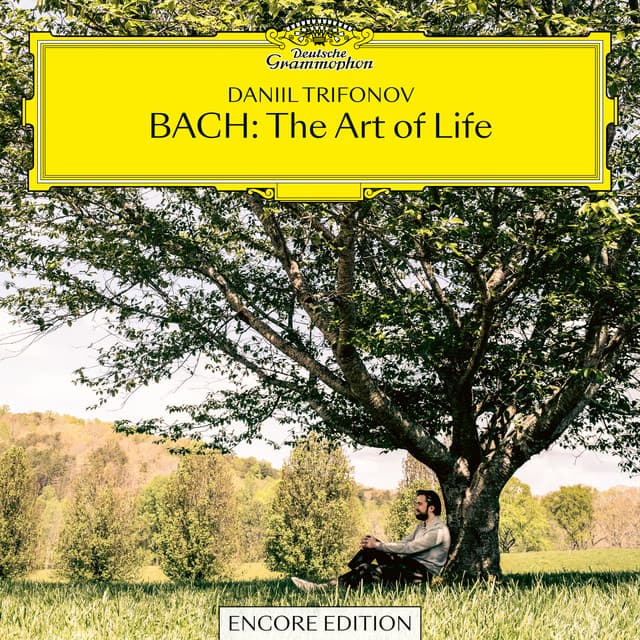 Variations on 'Ah, vous dirai-je, Maman': Var. 4 (Minore) cover art