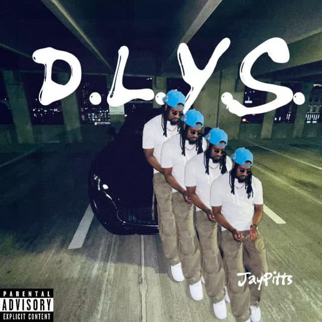 D.L.Y.S. cover art