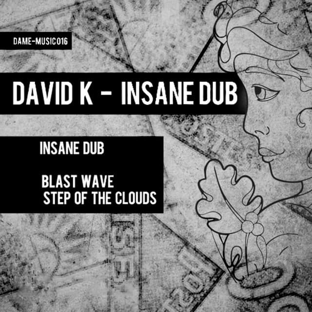 Insane Dub cover art
