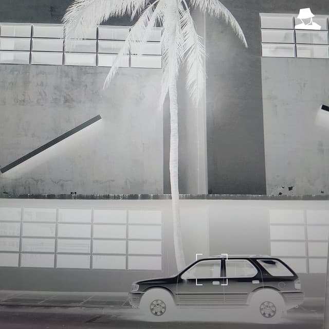 Public Life cover art
