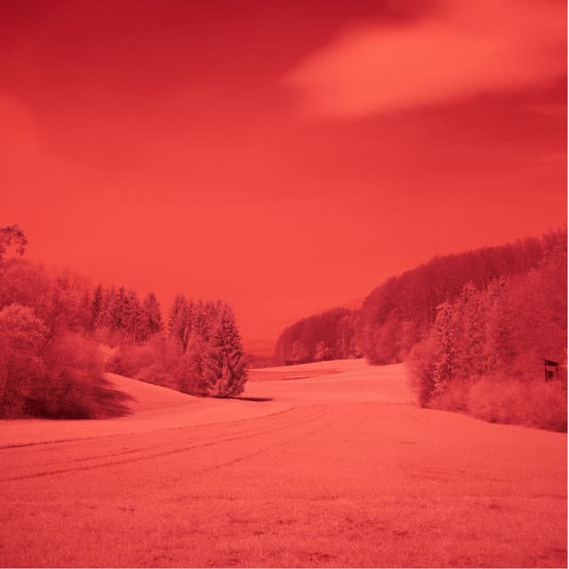 Blue Skies With Linda cover art