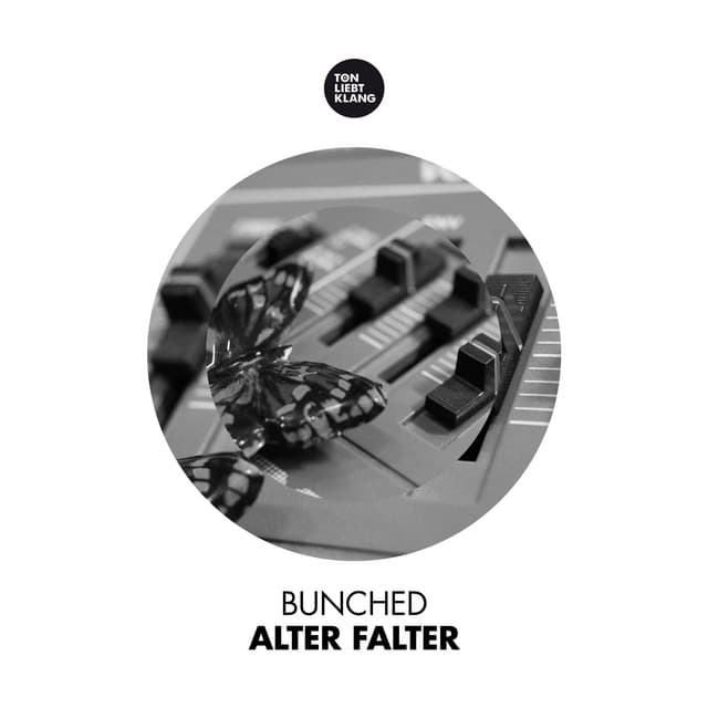 Falter - Fabian Schumann Remix cover art