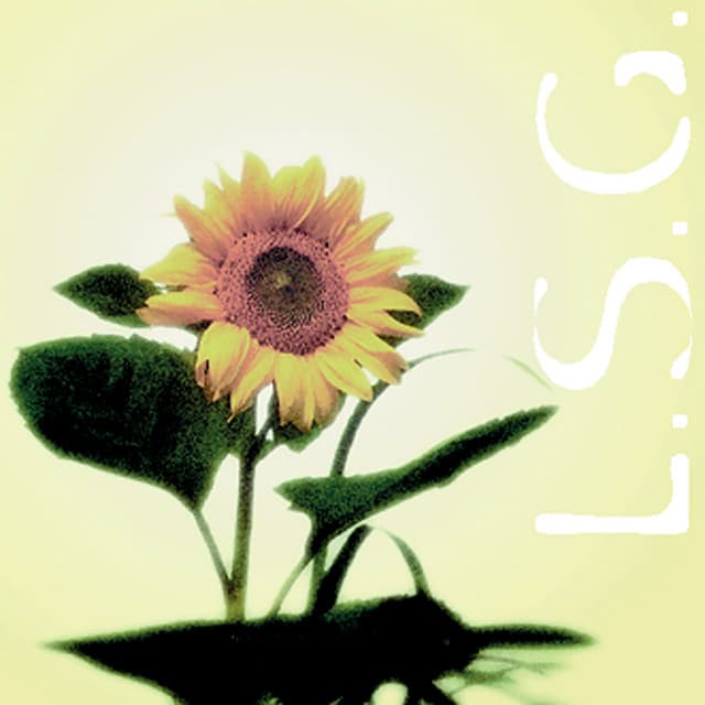 Fontana / Reprise cover art