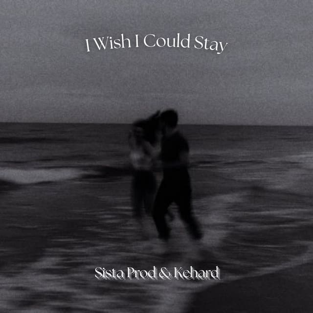 I Wish I Could Stay cover art