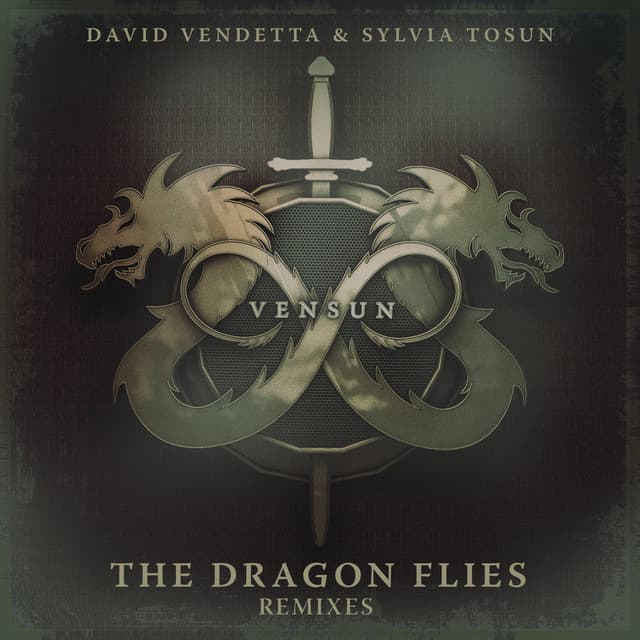 The Dragon Flies - Stereojackers & Mark Loverush Club Mix cover art