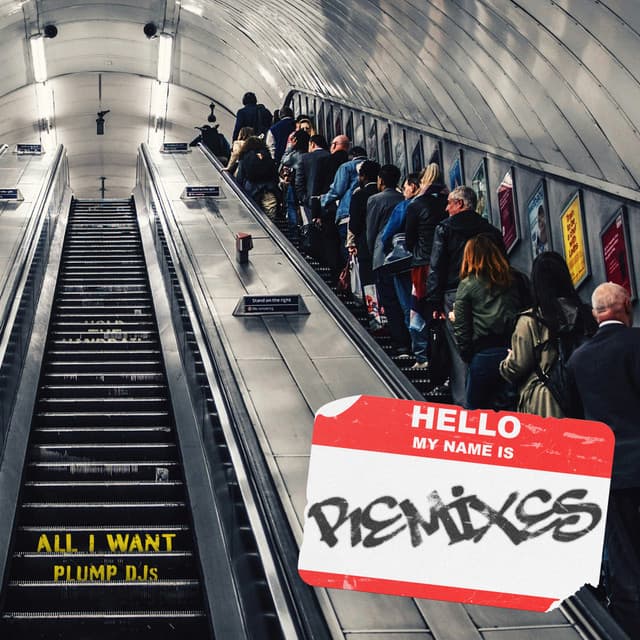 All I Want - Nice Girl Remix cover art