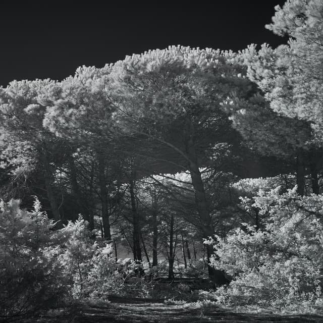 Under Cover - Mixed cover art