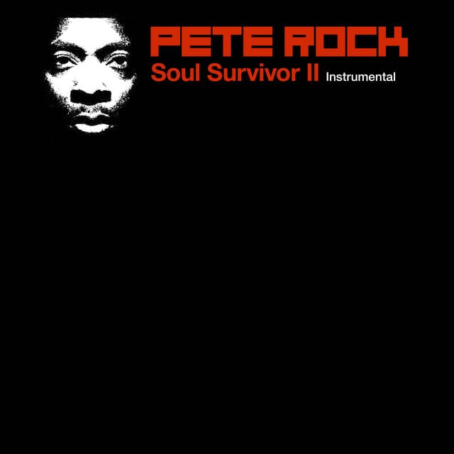Soul Survivor II - Instrumental cover art