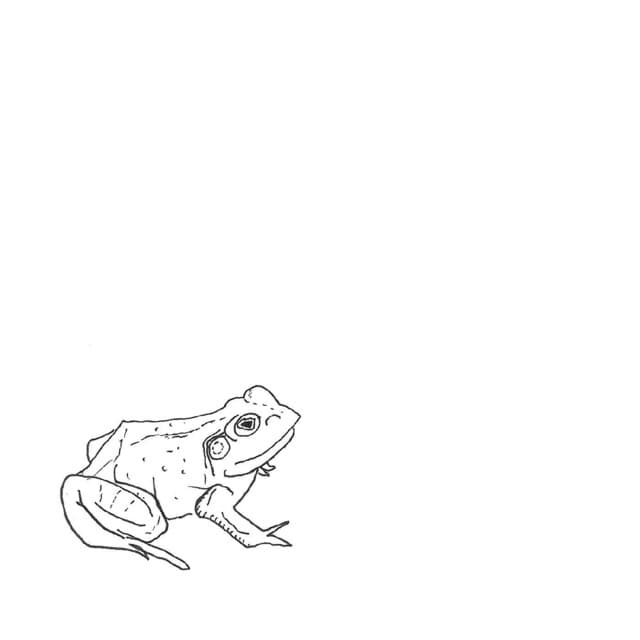 Bull Frogs Croon - Suite (Instrumental) cover art