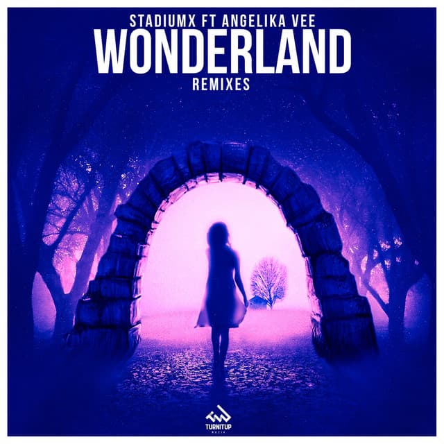 Wonderland - Metrush Remix cover art