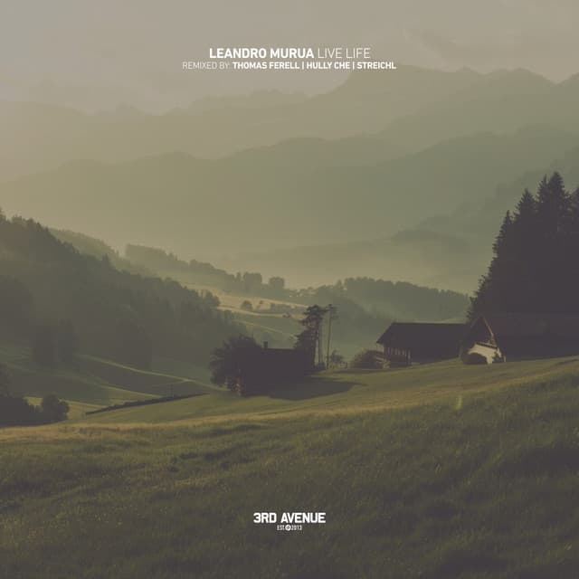Live Life - Thomas Ferell Remix cover art