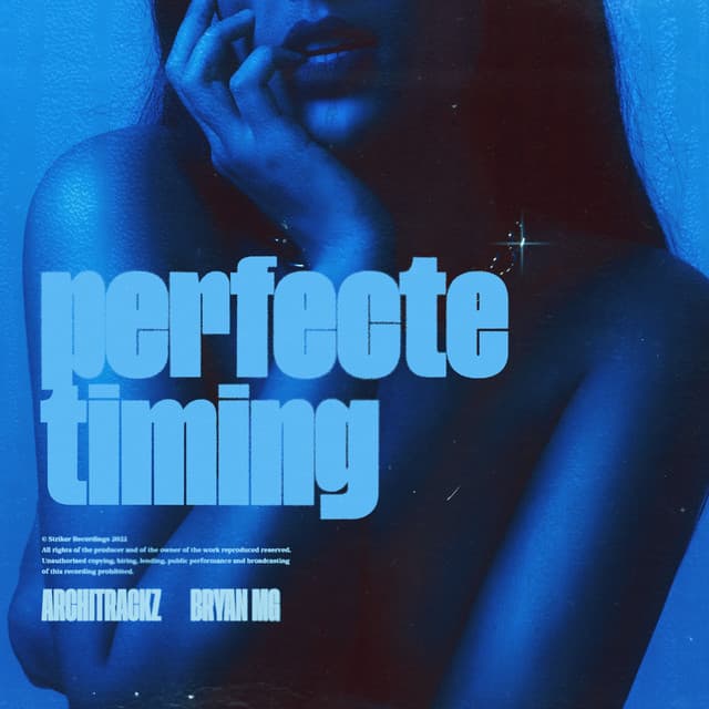 Perfecte Timing cover art