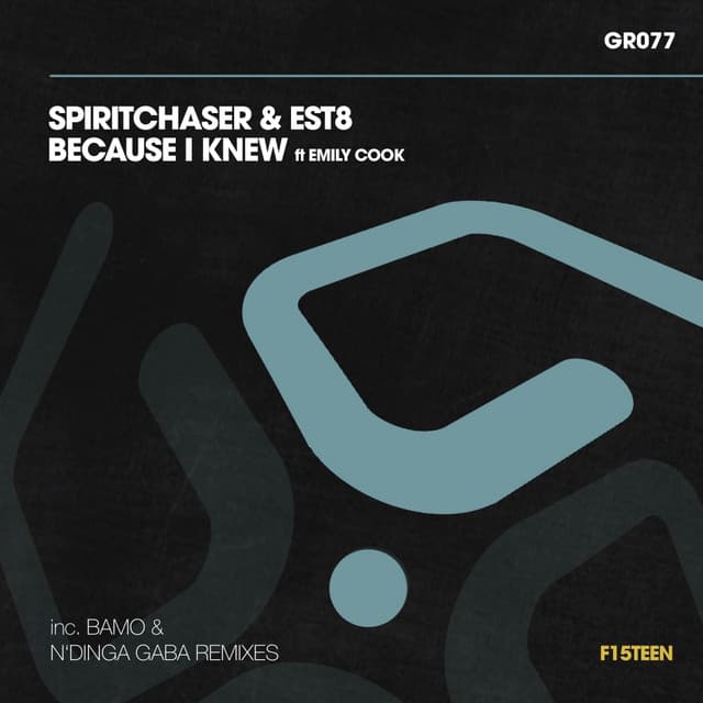 Because I Knew - Spiritchaser Club Mix cover art